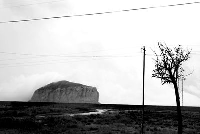 Plants growing on land against sky