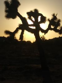 Low angle view of silhouette trees against sky during sunset