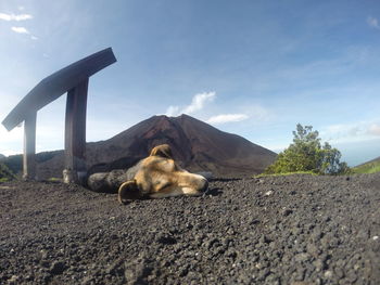 View of landscape against cloudy sky