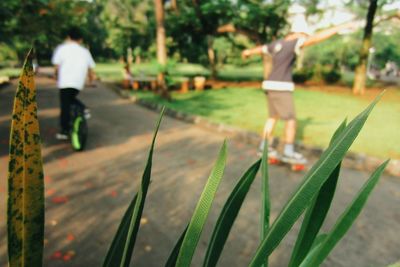 Rear view of man on golf course