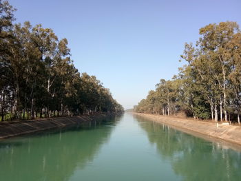 Reflection of trees in lake against clear sky