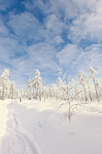 Snow covered landscape against sky