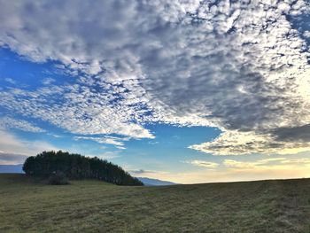 Scenic view of field against sky