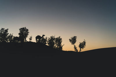 Silhouette trees on field against clear sky during sunset