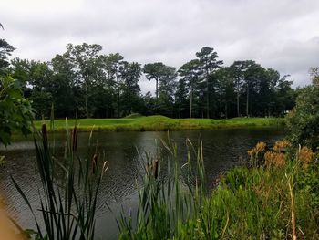 Scenic view of lake against sky