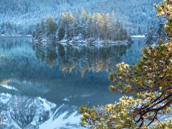 Scenic view of lake by trees during winter