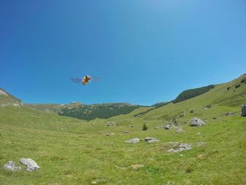 Scenic view of landscape against blue sky