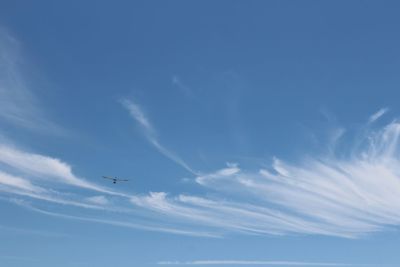 Low angle view of airplane flying in sky