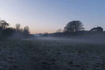 Trees on field against clear sky during winter