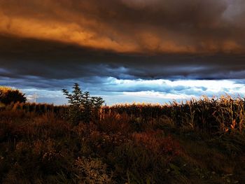 Scenic view of field against dramatic sky