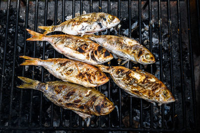 High angle view of fish on barbecue grill