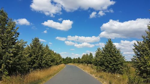 Empty road amidst trees against sky