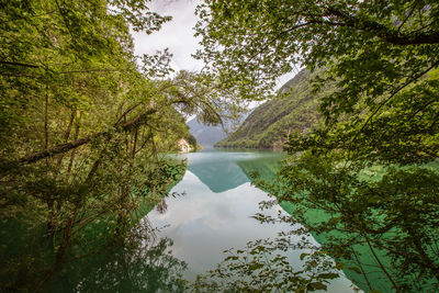 Scenic view of lake by trees against sky
