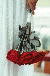 Close-up of hand holding red rose