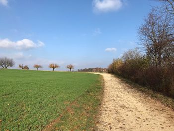 Footpath amidst trees on field against sky