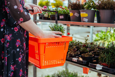 Midsection of woman holding potted plant