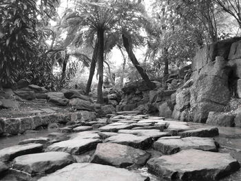 Rocks by trees against sky