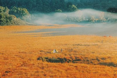 Scenic view of field