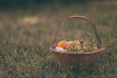 Fruits in basket on field