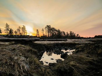 Scenic view of landscape against sky during winter