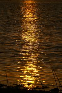 Reflection of sky in water