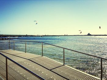 Birds flying over sea