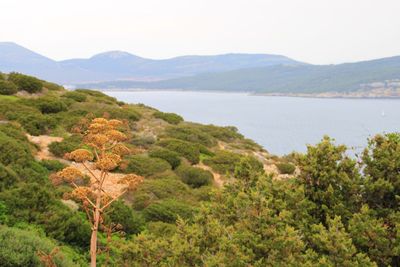 Scenic view of sea and mountains against sky