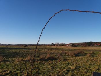 Scenic view of field against clear blue sky