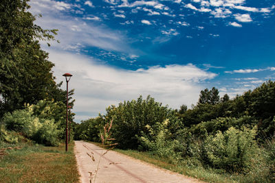 Empty road along plants and trees against sky