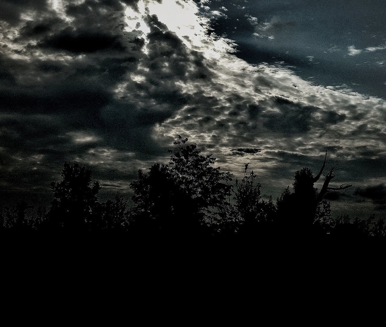 silhouette, sky, tree, tranquility, tranquil scene, beauty in nature, scenics, cloud - sky, nature, cloudy, low angle view, dark, idyllic, dusk, weather, cloud, growth, outdoors, landscape, no people