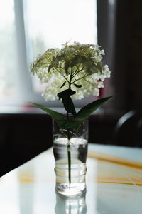 Close-up of vase on table