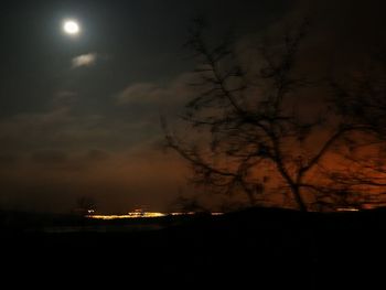 Silhouette trees against sky at night