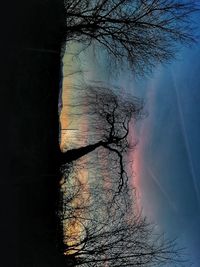 Digital composite image of bare tree against sky