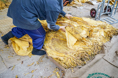 High angle view of man working on street