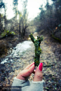 Close-up of hand holding leaf against tree