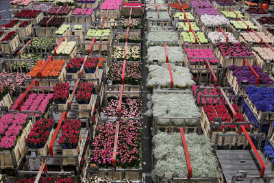 High angle view of various flowers at market stall