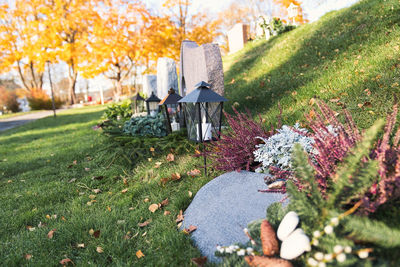 View of cemetery in park