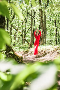 Rear view of woman standing in forest