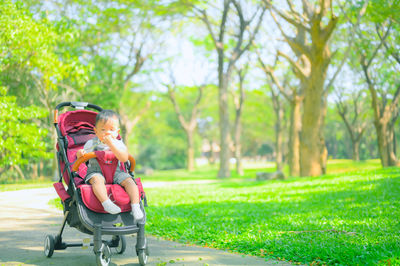 Portrait of boy sitting in park