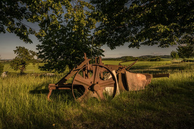 Landscape of schmorsdorf