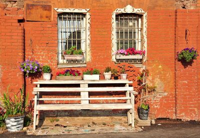 Flower pots outside house