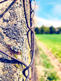 Close-up of barbed wire fence on field