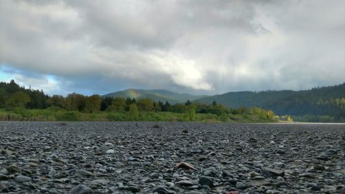 Scenic view of field against sky