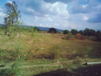 Scenic view of landscape against sky