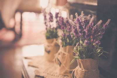 Purple flowers in sacks on table