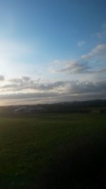 Scenic view of grassy field against sky