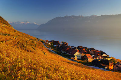 Residential buildings by vineyard against sky