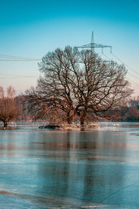 Bare tree by lake against sky during winter