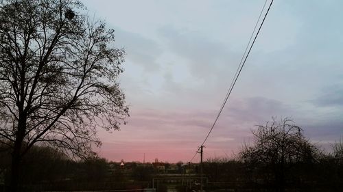 Low angle view of silhouette trees against sky