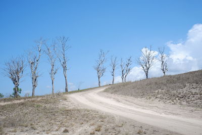 Dirt road amidst landscape against blue sky